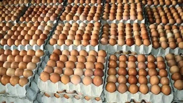 Egg Business