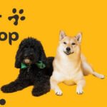 Pet Shop Business