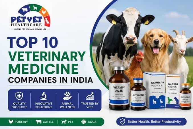 Top Veterinary Clinic Chains in India 2026